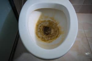 Toilet-w-hard-water-stain - Superior Housekeeping Service, LLC Hard water stain toilet