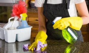 Cleaning Caddy - Superior Housekeeping Service, LLC cleaning kitchen