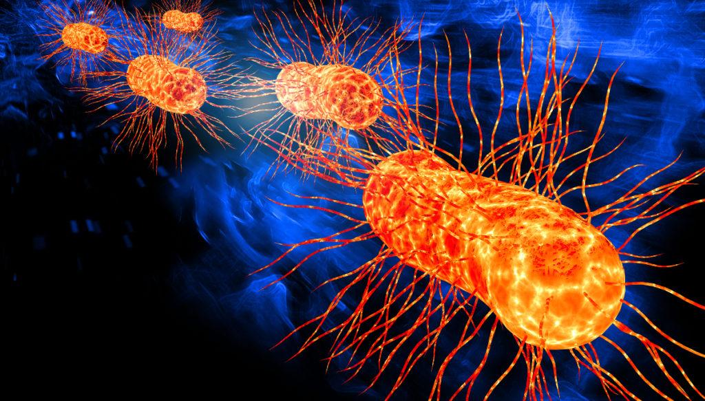 e.-coli-illustration - Superior Housekeeping Service, LLC e-coli illustration