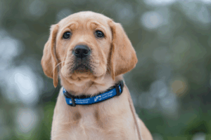 Where Exceptional Service & Affordability Meet!